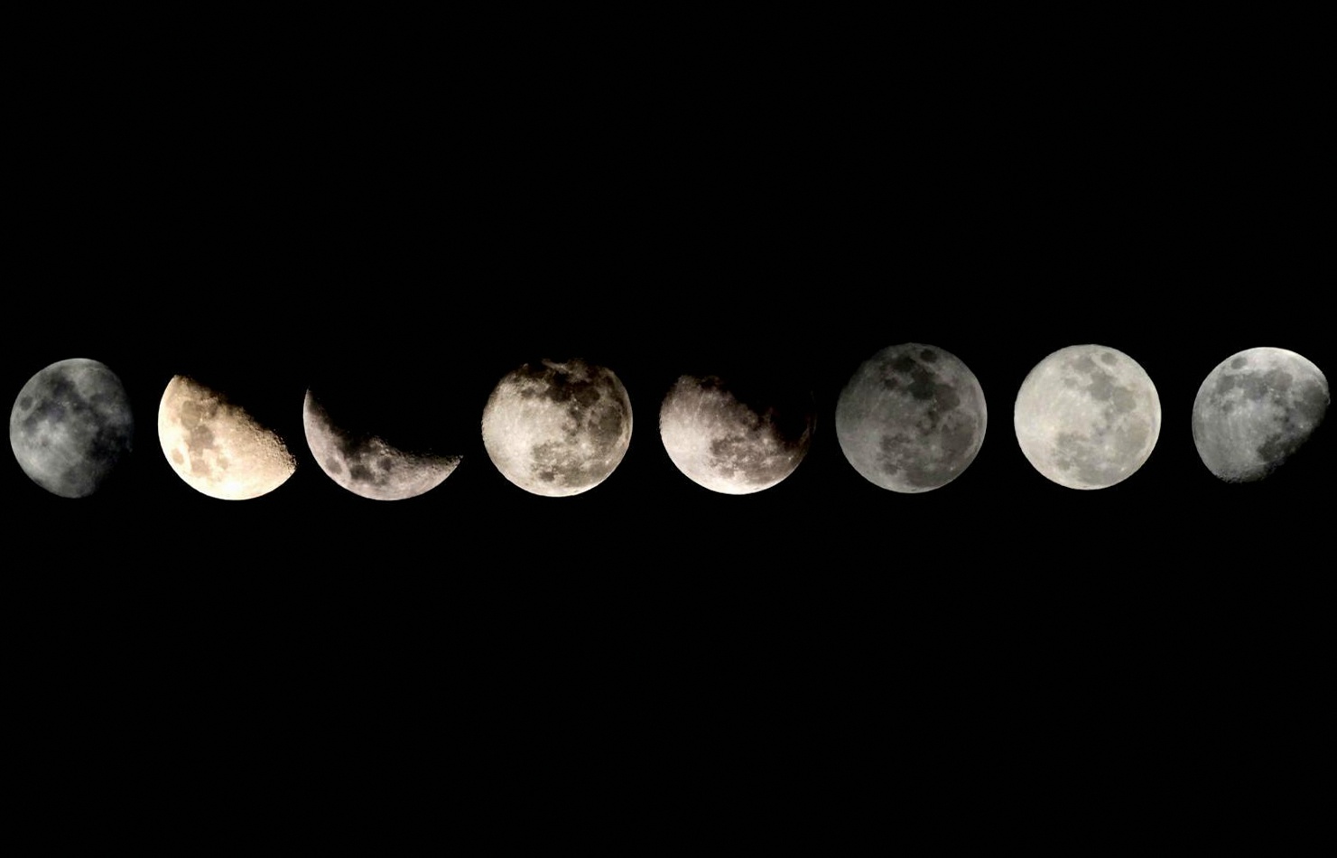 Teilnehmende in einer Online-Lerngruppe für Astrologie